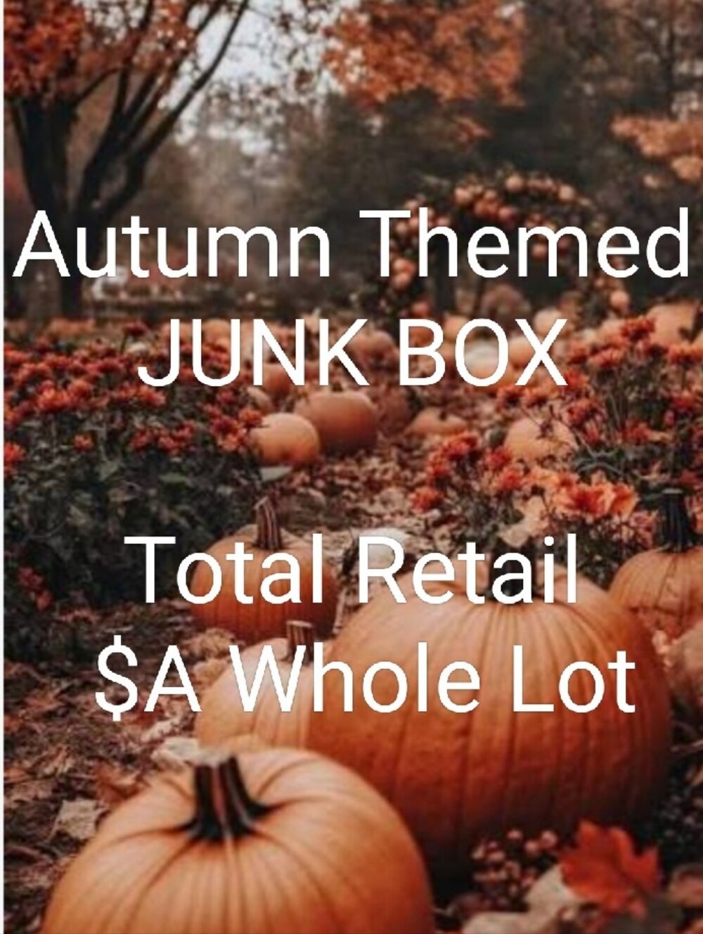 Autumn Themed Junk Box, NWT